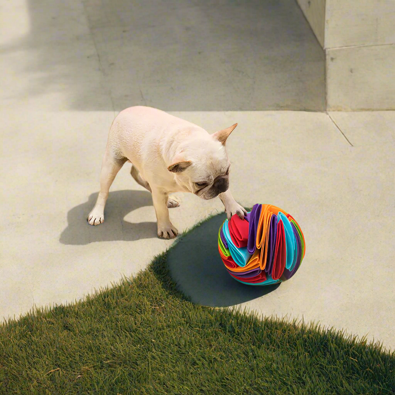 Foldable Dog Snuffle Ball for IQ Training Games