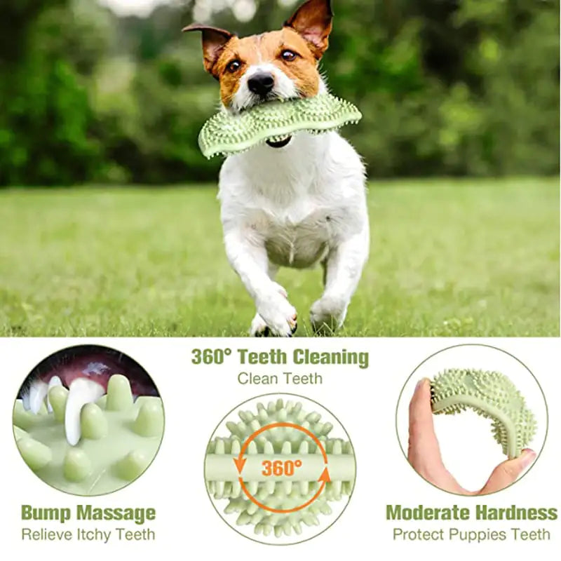 ChewMax Dog Play Ball
