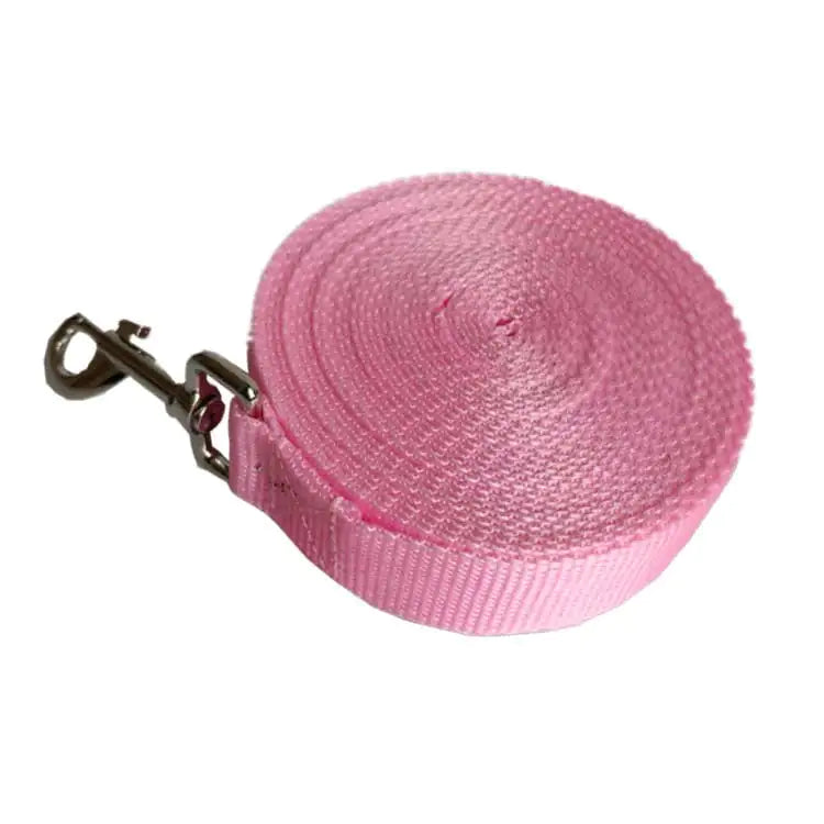 2.5CM Sturdy Wide Dog Rope Leash